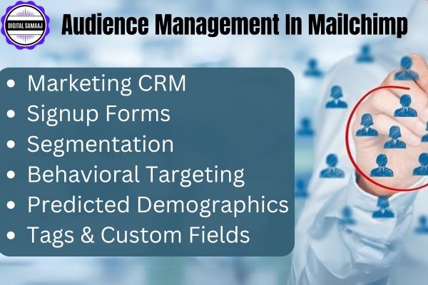 Audience Management In Mailchimp