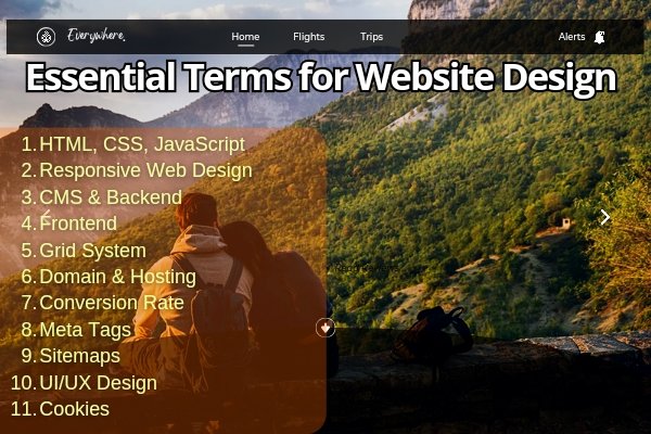 Essential Terms for Website Design